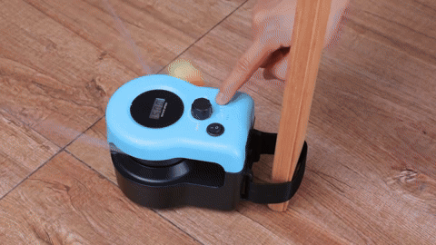 cat toy exerciser