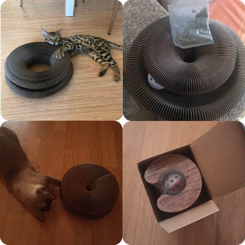 cat toy Purrplex Pursuit by Sniffwagglenwalk™ - Sniff Waggle And Walk