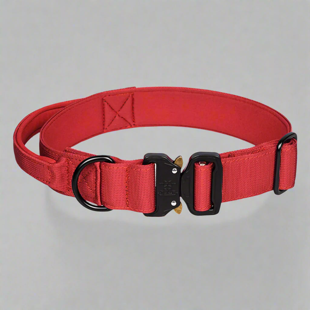 Red CobraCollar tactical dog collar with reinforced alloy D-ring and cobra buckle
