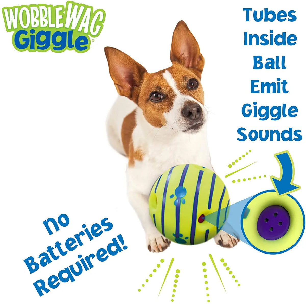 Golden Retriever playing with PoshPup GiggleBall indoors and outdoors