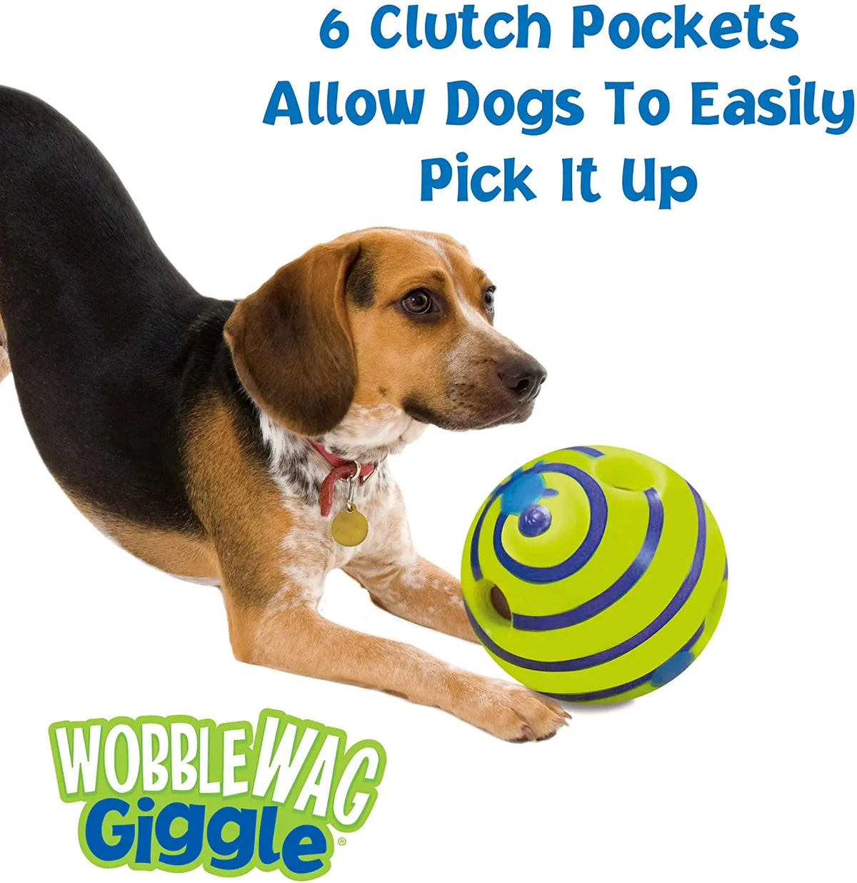 Cavalier King Charles Spaniel nudging GiggleBall giggle sound no batteries