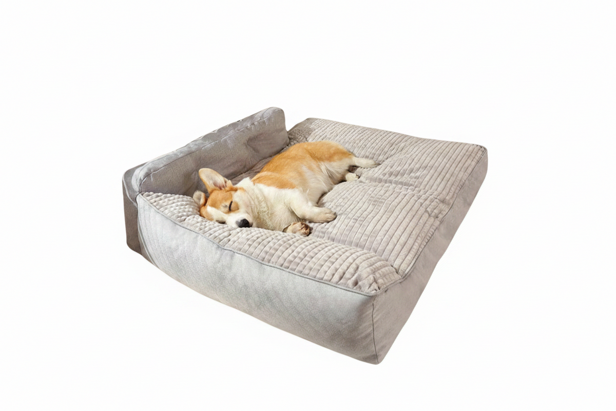 Grey orthopedic dog bed with raised edges — cat resting on plush surface — SniffWaggleNWalk