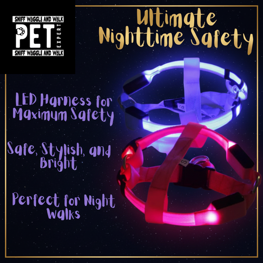 NightStrider™ LED dog harness size guide showing XS to XL chest measurements — Pink, Orange, Yellow, Green, Blue, Red colours
