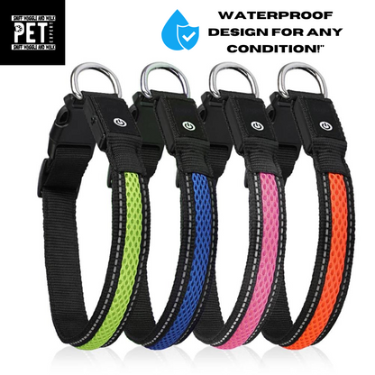 Rechargeable Waterproof LED Dog Collar – Light Up Every Adventure! Sniffwaggleandwalk™