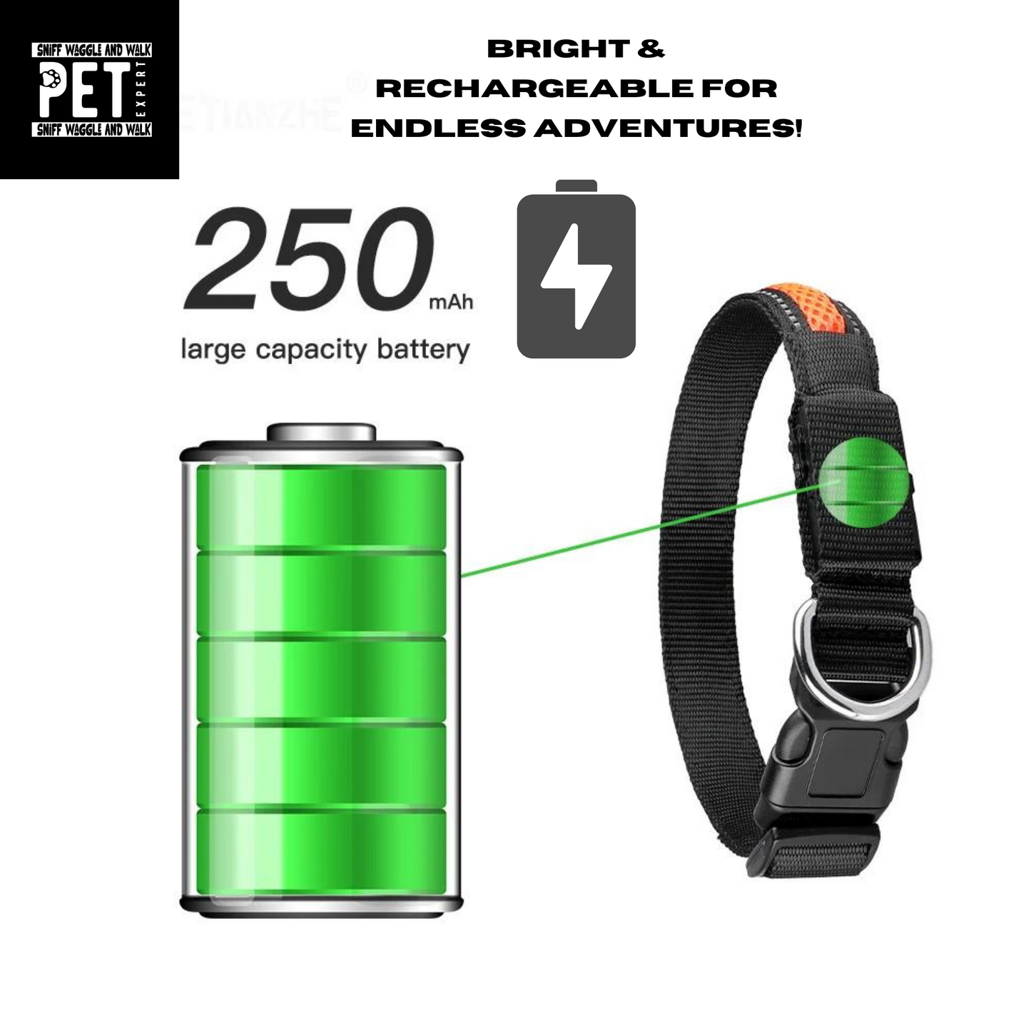 Rechargeable Waterproof LED Dog Collar – Light Up Every Adventure! Sniffwaggleandwalk™