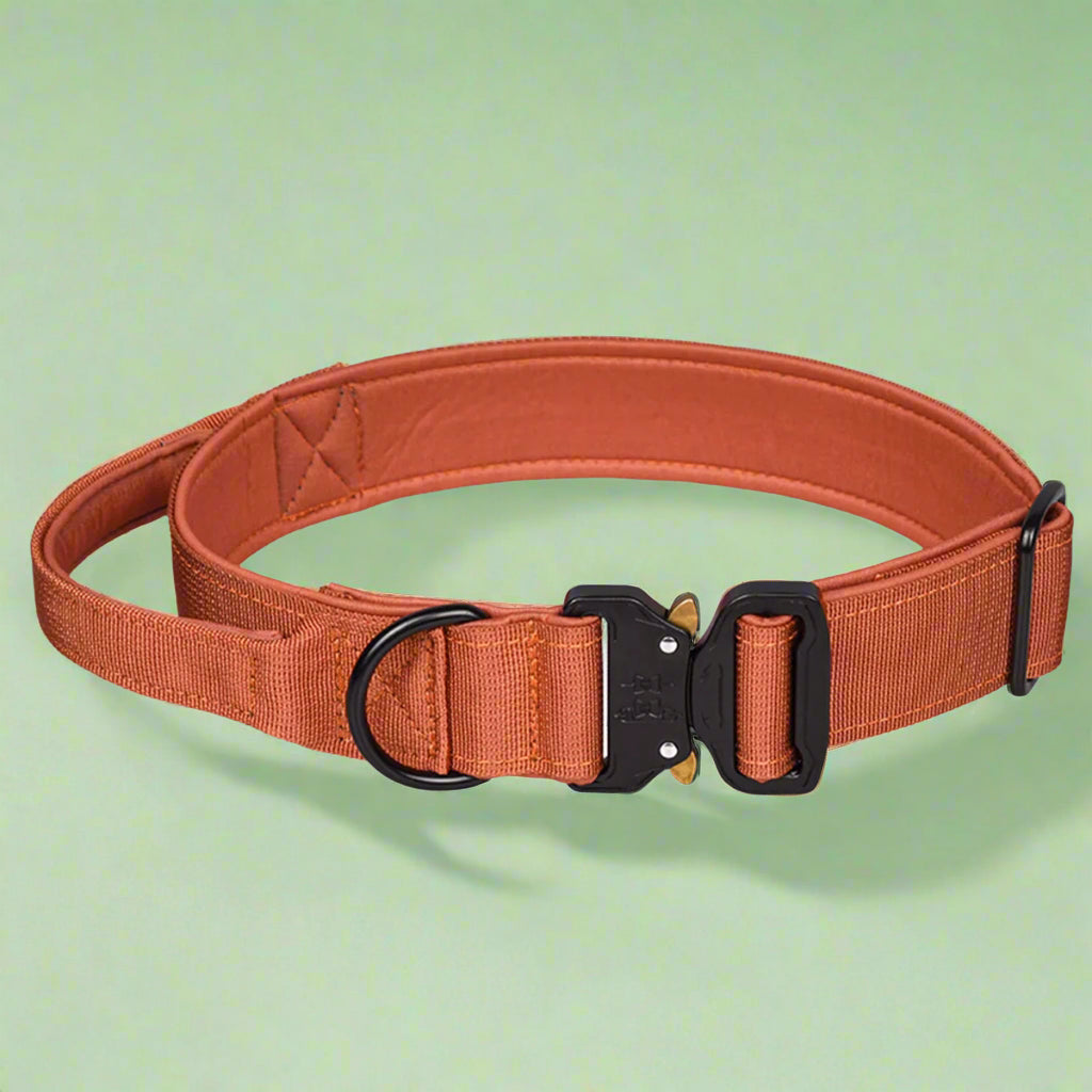 Rust/terracotta CobraCollar tactical dog collar with cobra buckle — SniffWaggleNWalk