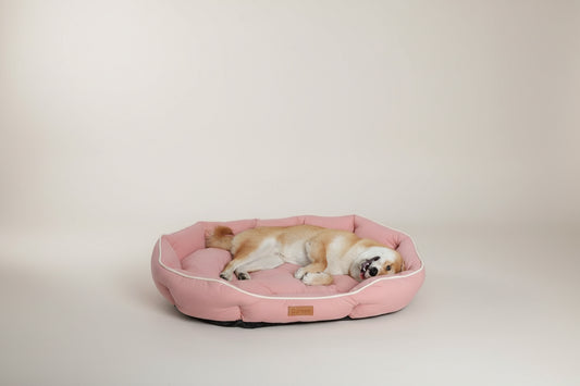 PoshPup VelvetNest deerskin velvet ellipse pet bed in beige — SniffWaggleNWalk