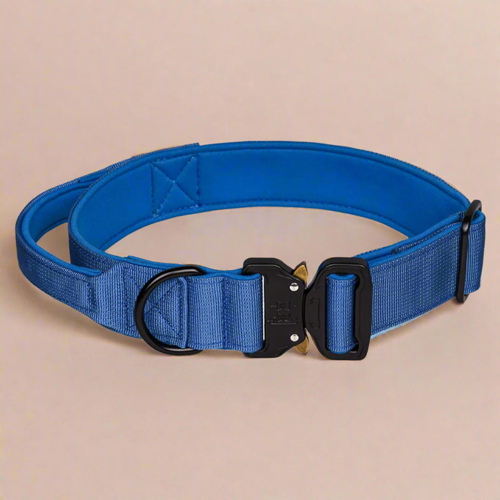 Blue CobraCollar padded dog collar with cobra auto-lock buckle — M L XL