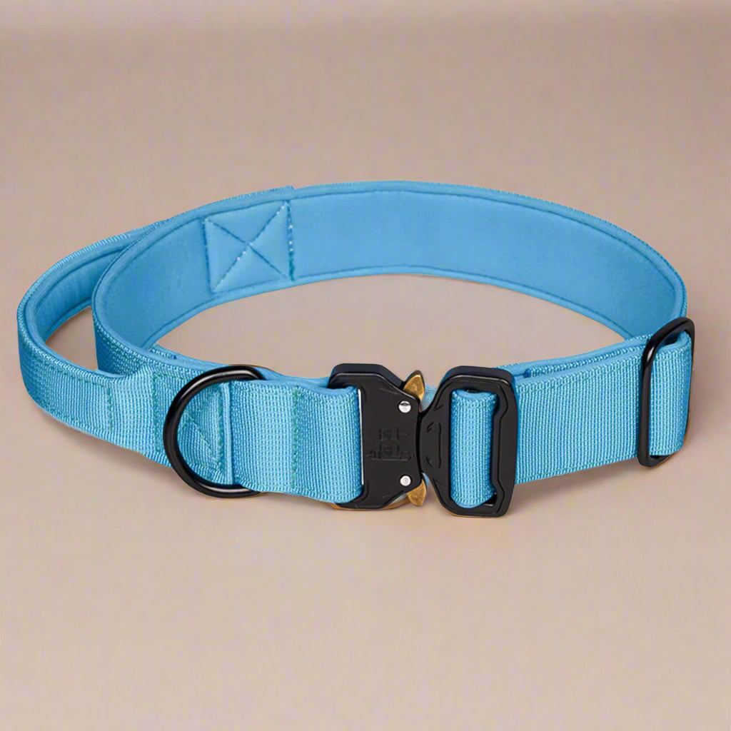 Sky blue CobraCollar padded dog collar with cobra auto-lock buckle