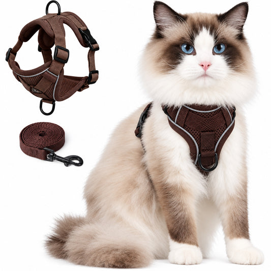 Ragdoll cat wearing a brown mesh cat harness with matching leash