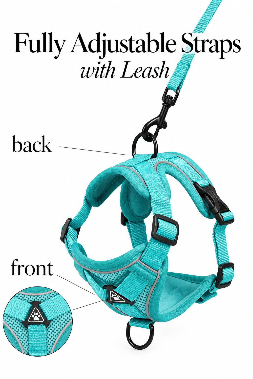 Teal cat harness with fully adjustable straps and leash, front and back views