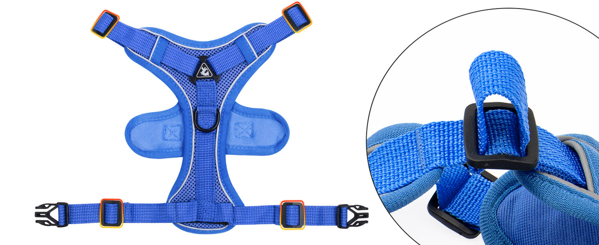 Blue cat harness with adjustable straps and buckle details