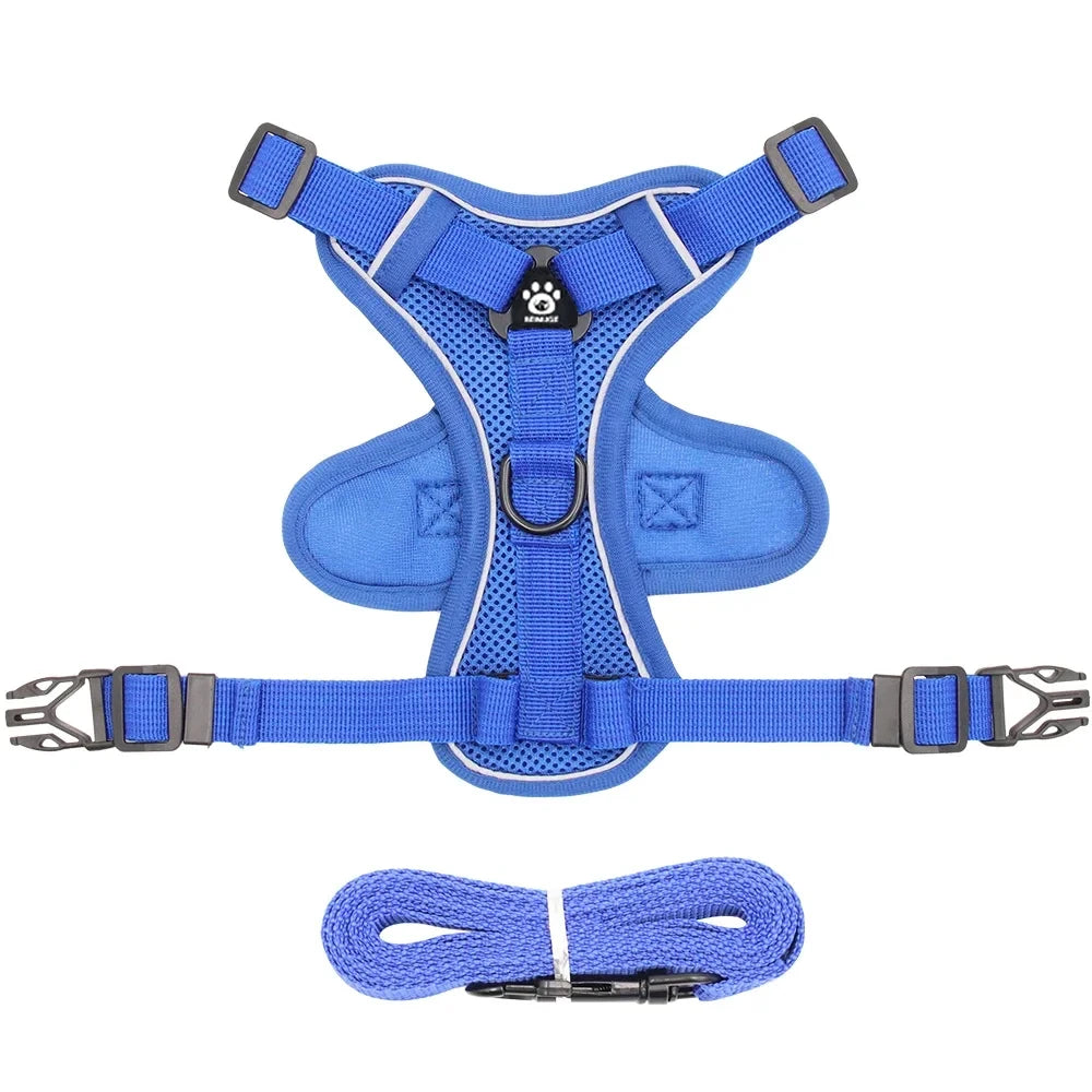 Blue cat harness and leash set