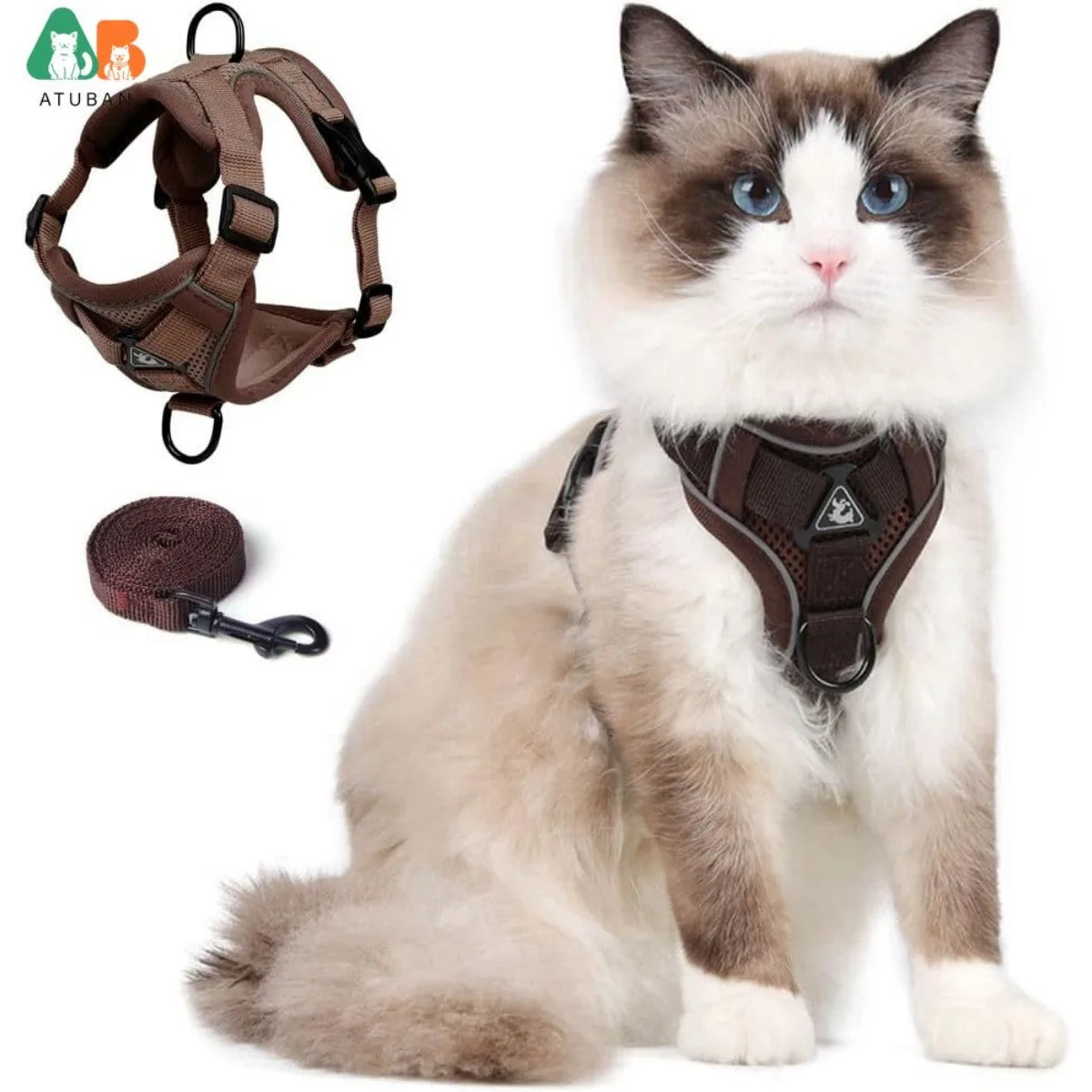 Ragdoll cat wearing a brown mesh cat harness and leash set