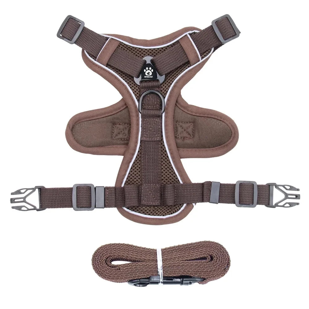 Brown cat harness and leash set