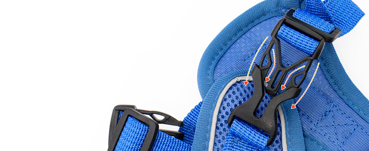 Close-up of a blue cat harness buckle and padded mesh
