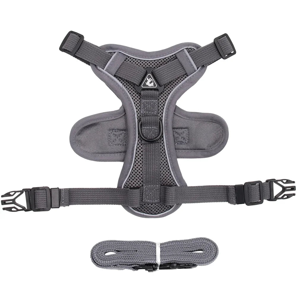 Grey cat harness and leash set