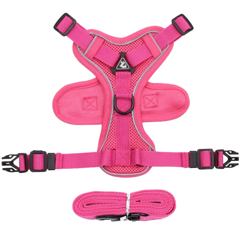 Pink cat harness and leash set