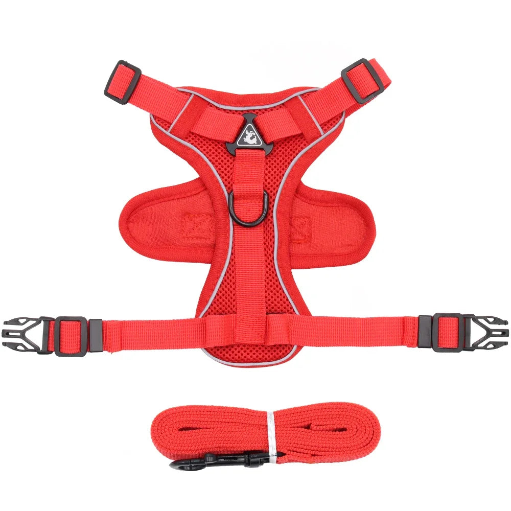 Red cat harness and leash set