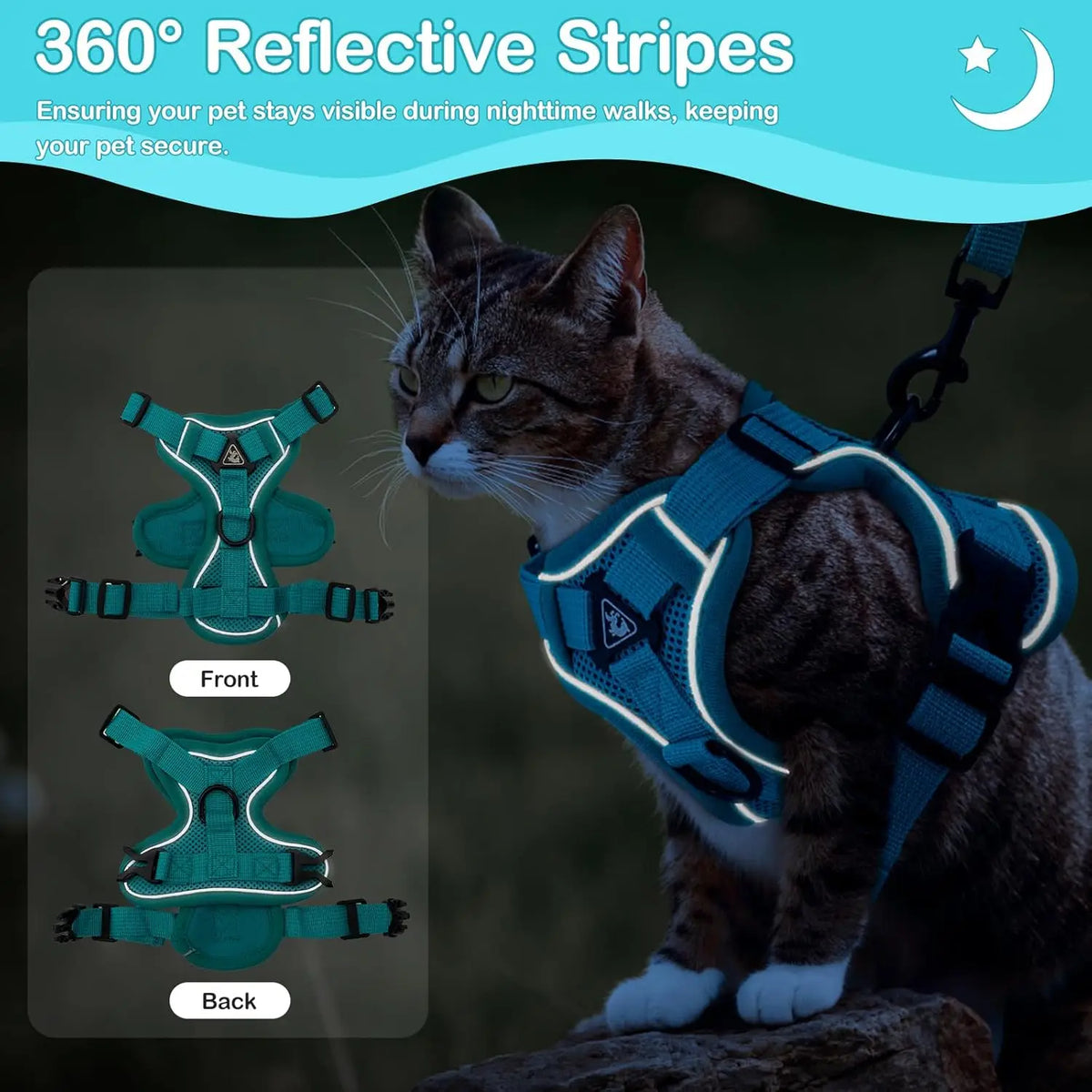 Cat in a reflective cat harness at night with front and back views