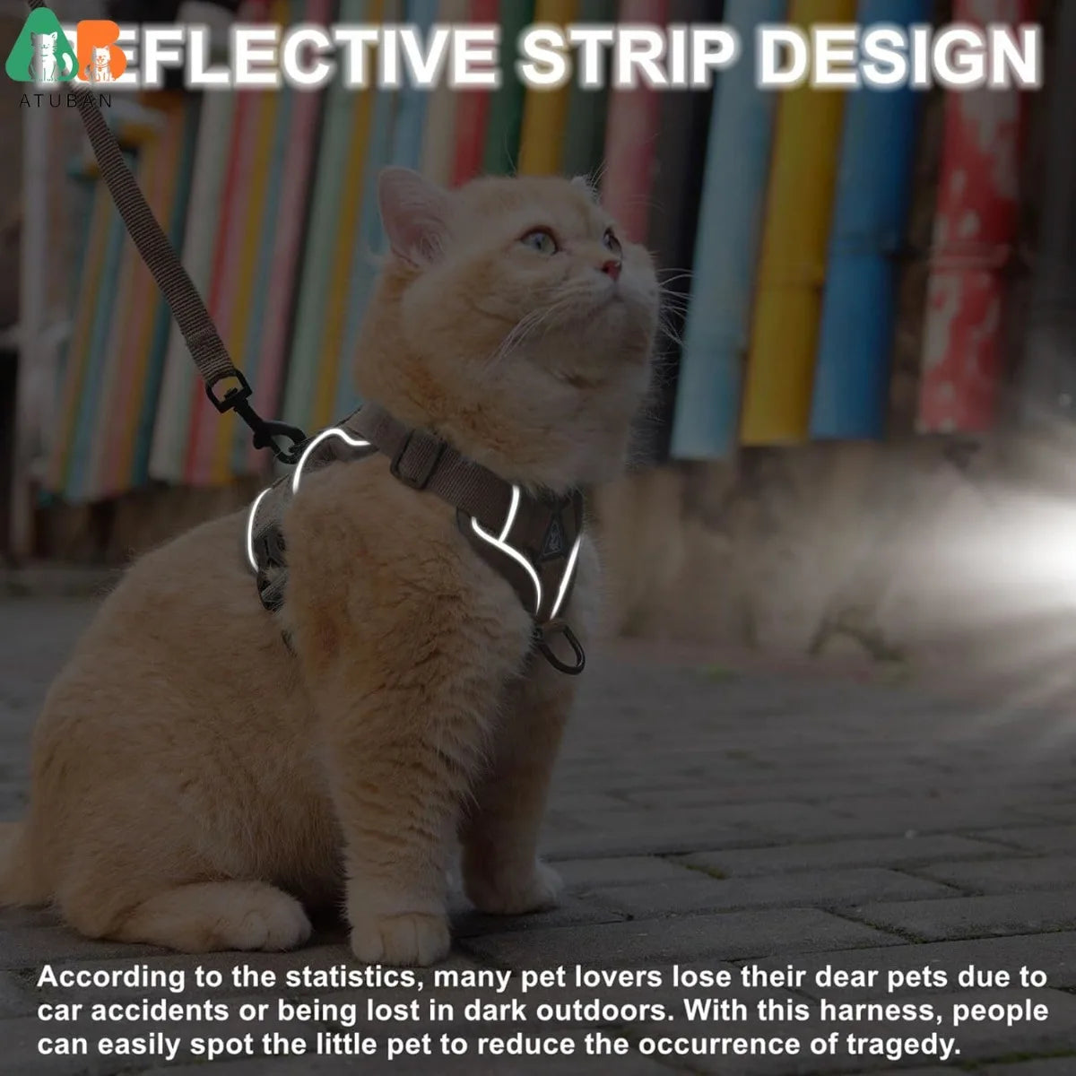 Cat wearing a harness with reflective strip design