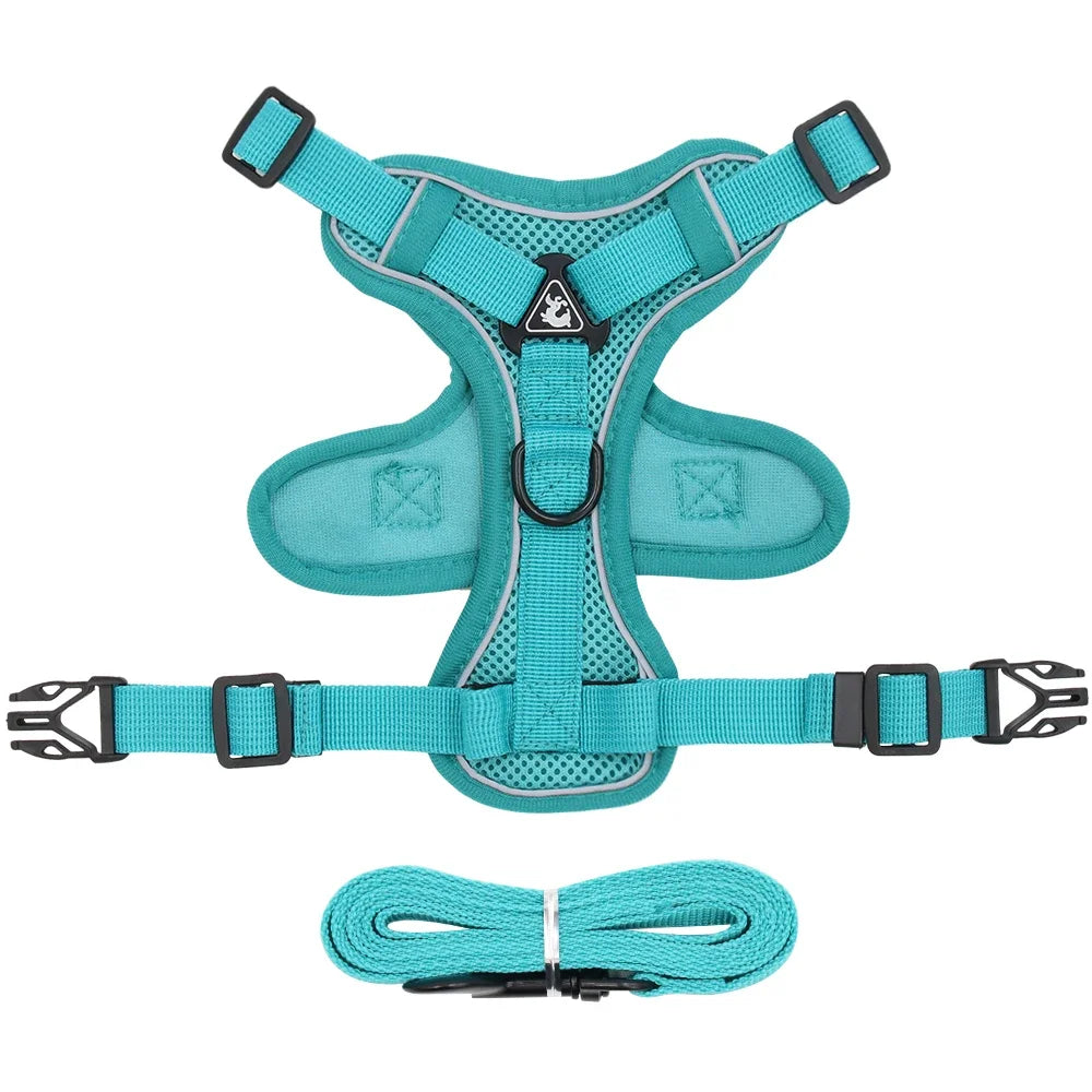 Teal cat harness and leash set