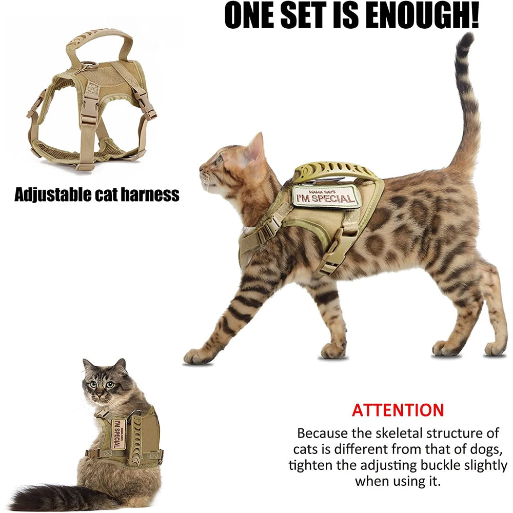 Adjustable cat harness worn by a Bengal cat