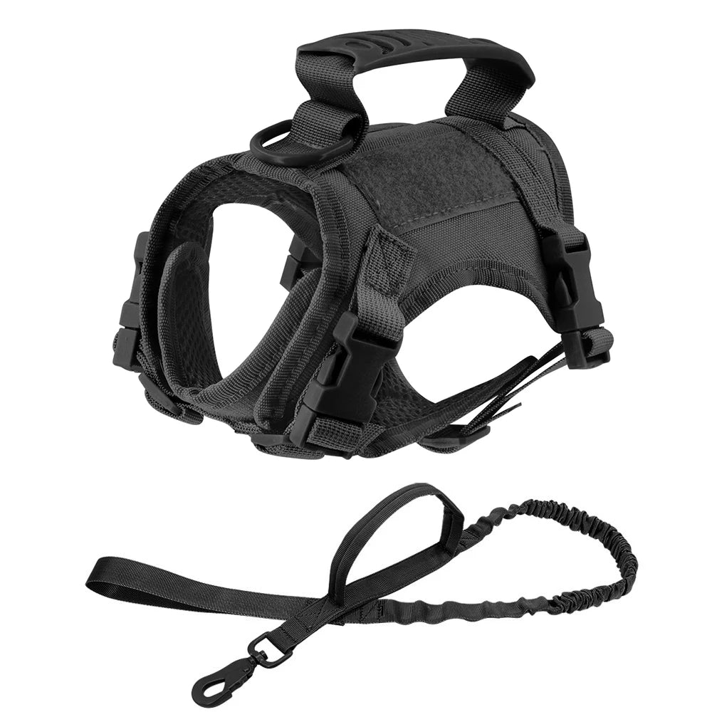 Black tactical cat harness vest with matching leash