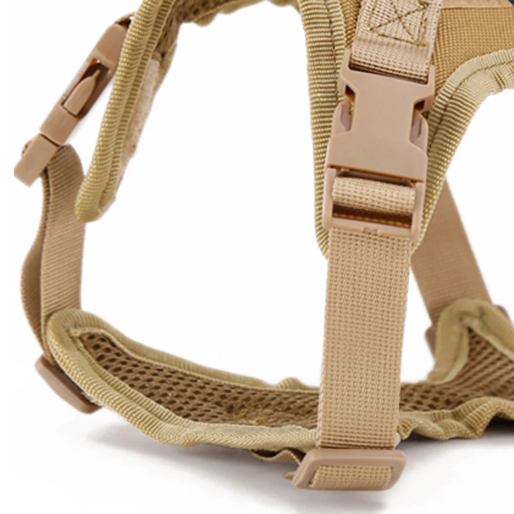 Cat harness buckle and padded mesh lining close-up