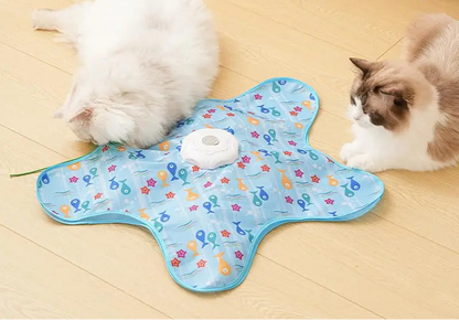 interactive cat toy with slow fast and dynamic speed modes