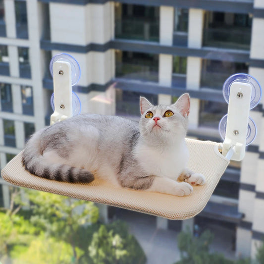 Grey tabby cat lying on a cream cat window hammock stuck to a window with four suction cups, high-rise view