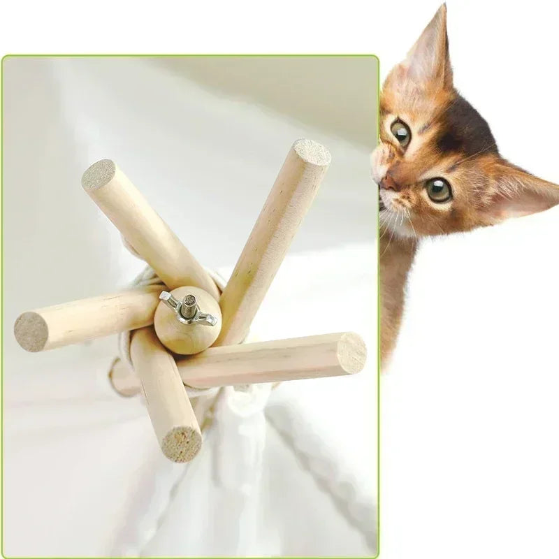 cat bed sniffwaggle and walk1