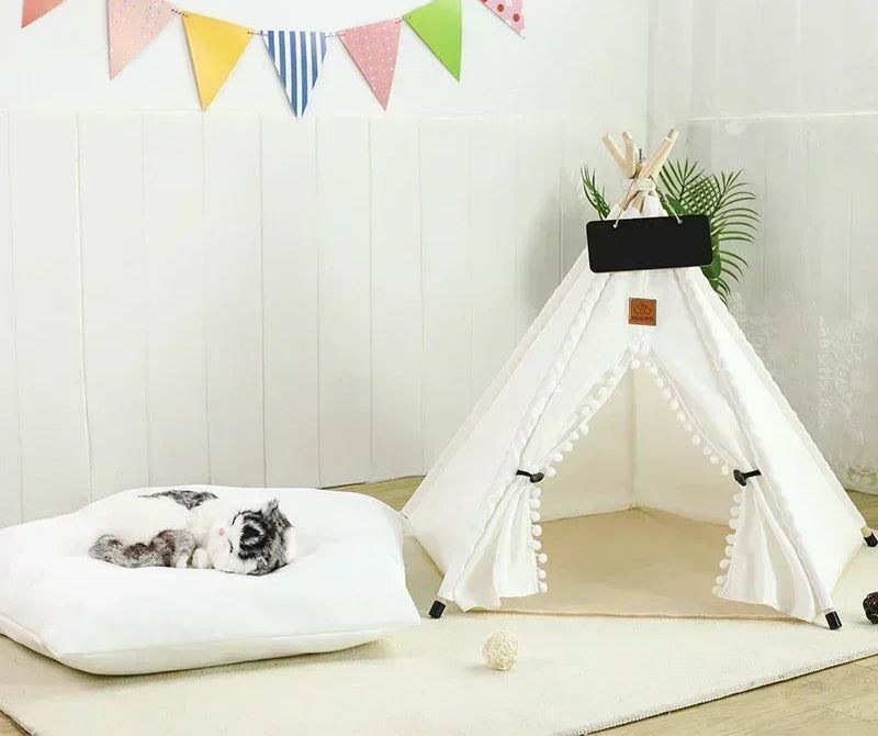 cat bed sniffwaggle and walk2