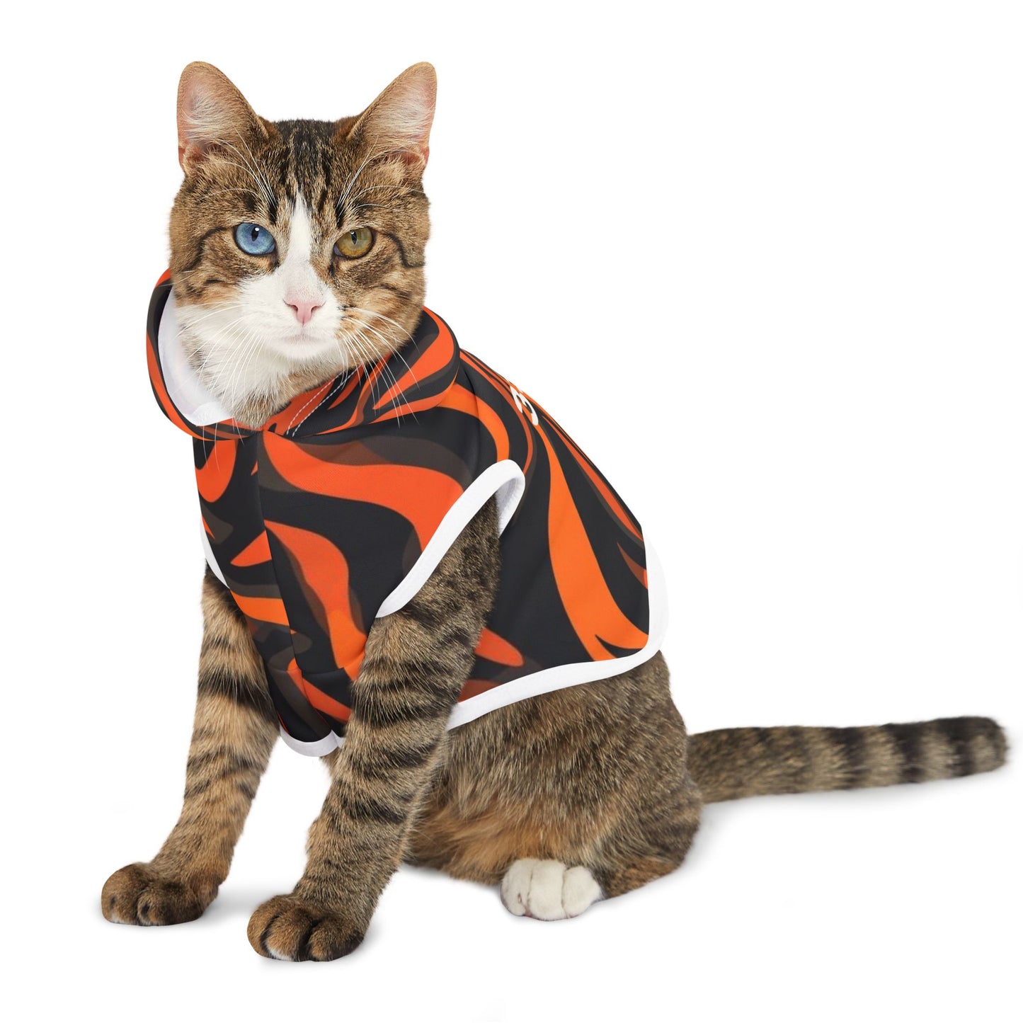 Cat wearing a black and orange patterned outfit on a white background