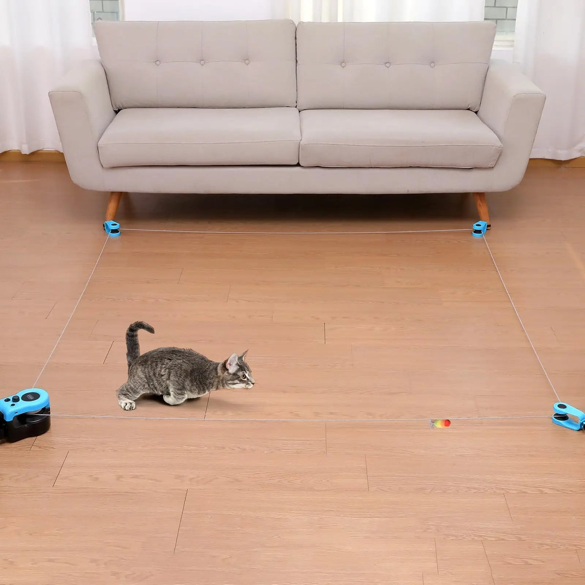 cat toy exerciser display