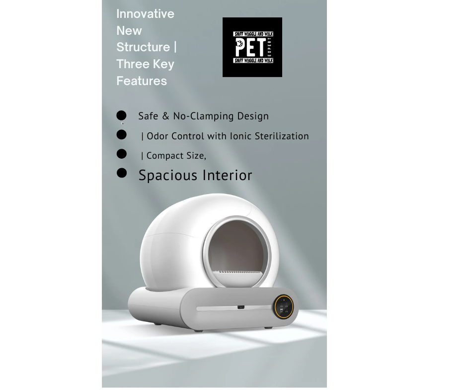 cat litter box the best