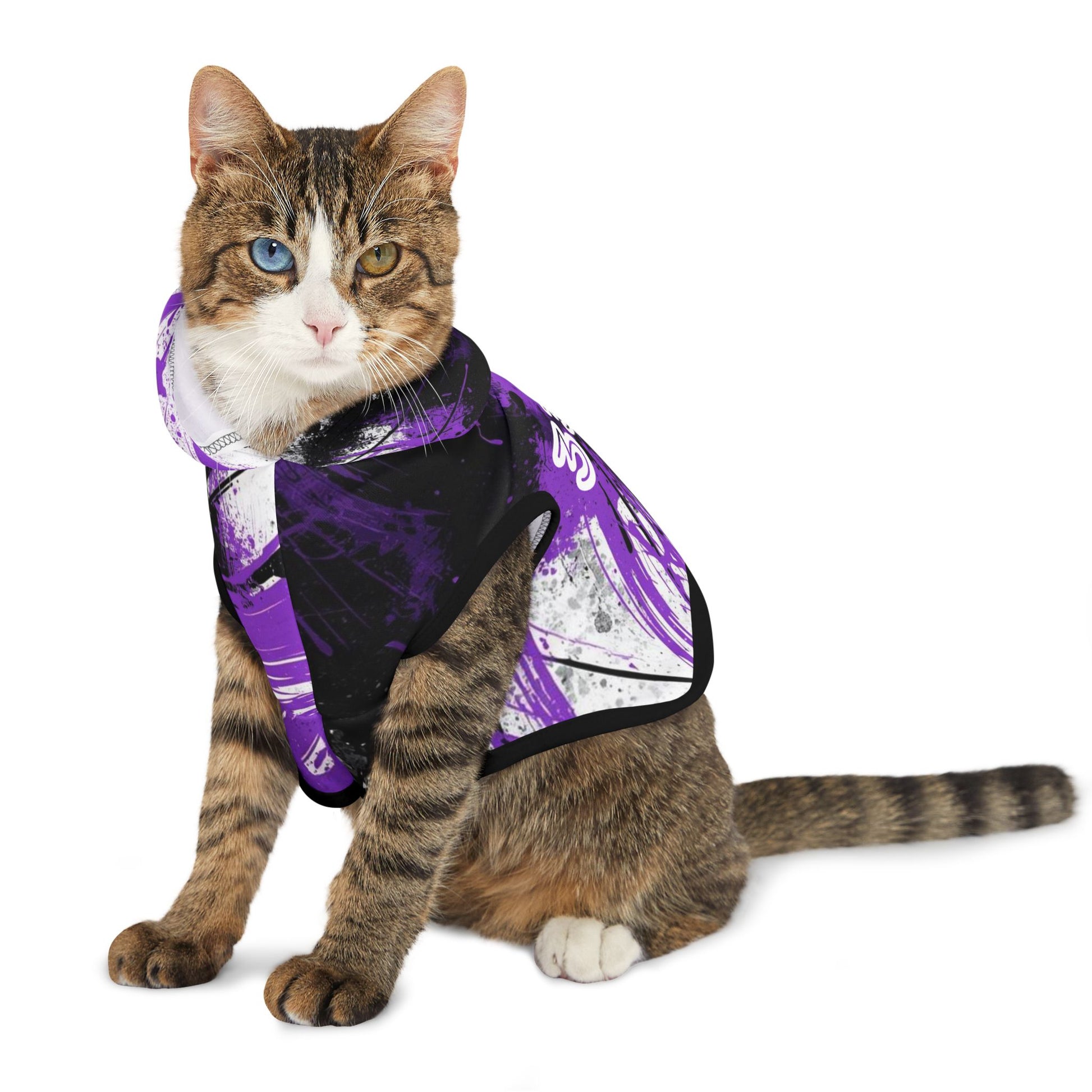 cat wearing 333 angel number hoodie 