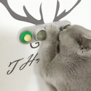 SniffWaggleNWalk™ KittyFix™ Rotating Cat Enrichment Toy – Calm, Clean & Play
