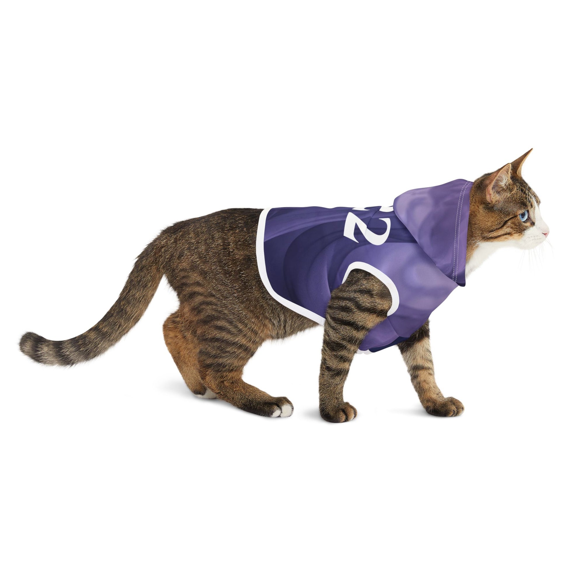 Mystic purple swirl pet outfit with hood