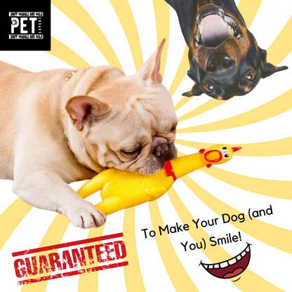 Squeaky Rubber Chicken Dog Toy – The Hilarious, Noisy Fun Your Dog Will Love!