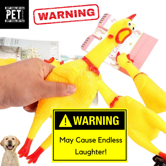 Squeaky Rubber Chicken Dog Toy – The Hilarious, Noisy Fun Your Dog Will Love!