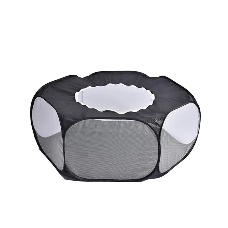 ClearPod pop-up transparent pet tent — cat inside, lifestyle photo — SniffWaggleNWalk