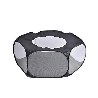 ClearPod pop-up transparent pet tent — cat inside, lifestyle photo — SniffWaggleNWalk