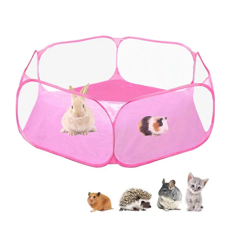 ClearPod pop-up transparent pet tent — small dog inside, lifestyle photo — SniffWaggleNWalk