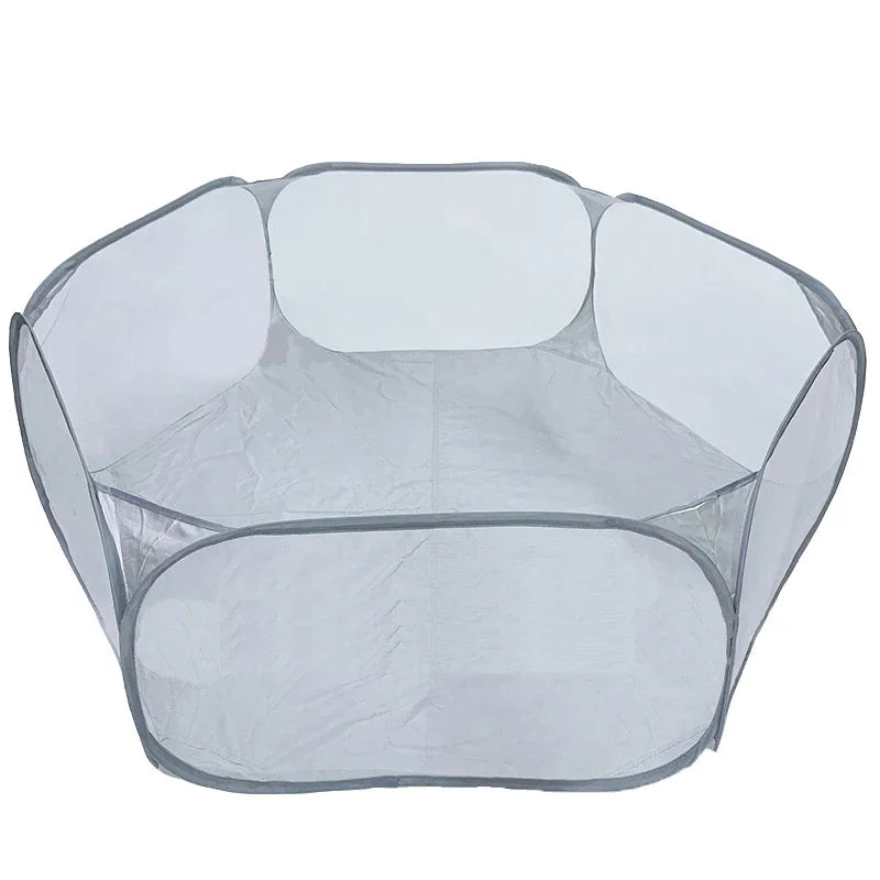 ClearPod pop-up transparent pet tent — outdoor garden use — SniffWaggleNWalk