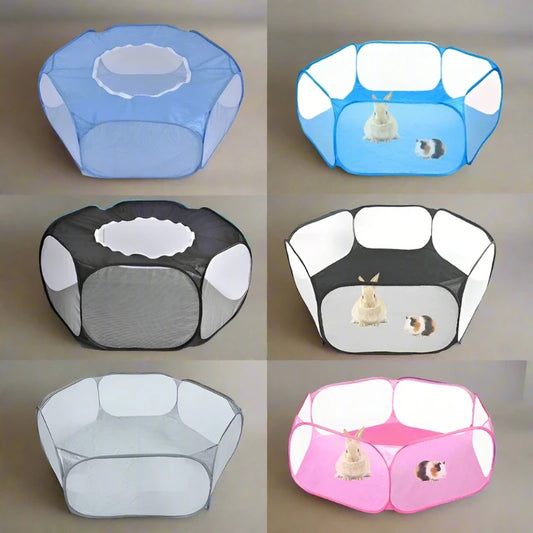 ClearPod pop-up transparent pet tent — main view — SniffWaggleNWalk