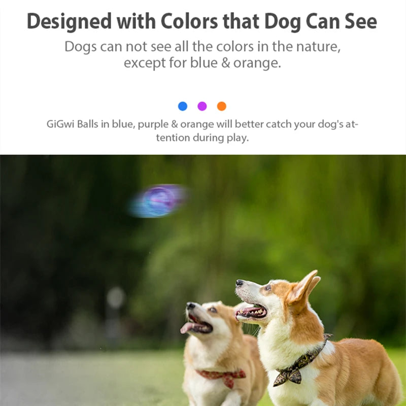 GiGwi dog toys in colours dogs can see — blue, purple and orange for better visibility during play