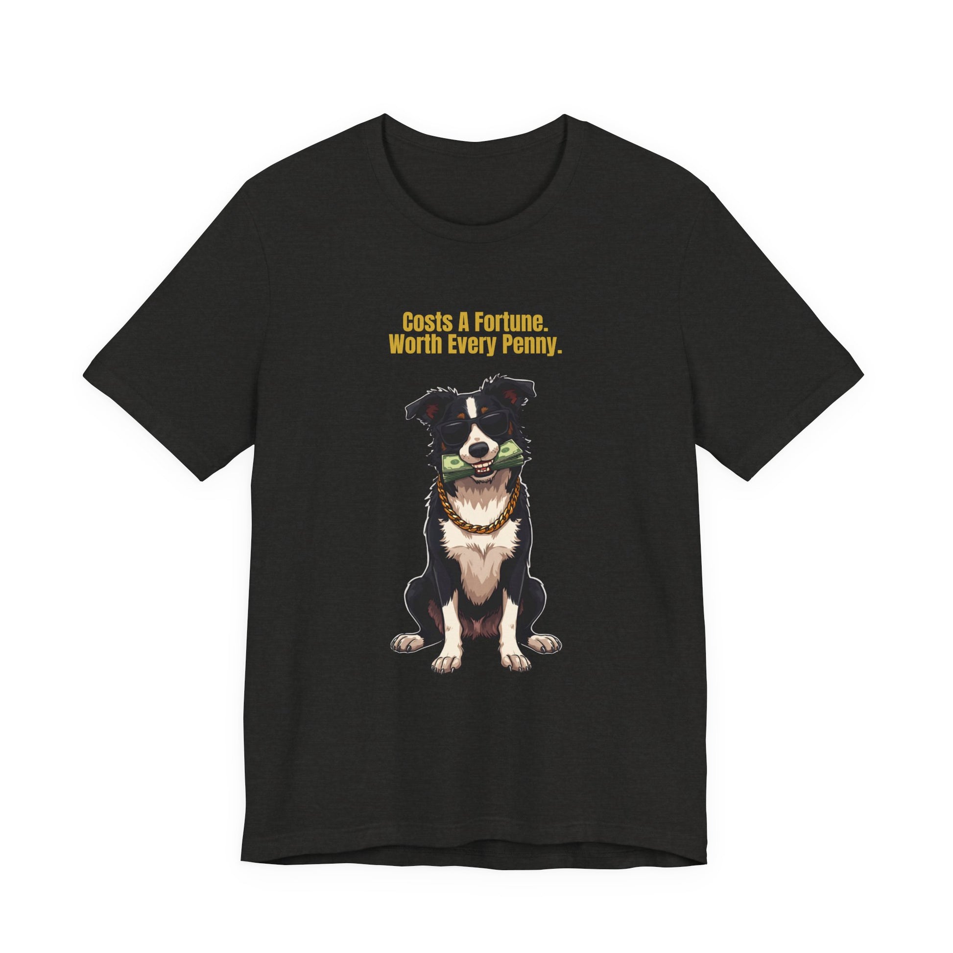 Costs A Fortune Border Collie t-shirt - full design view