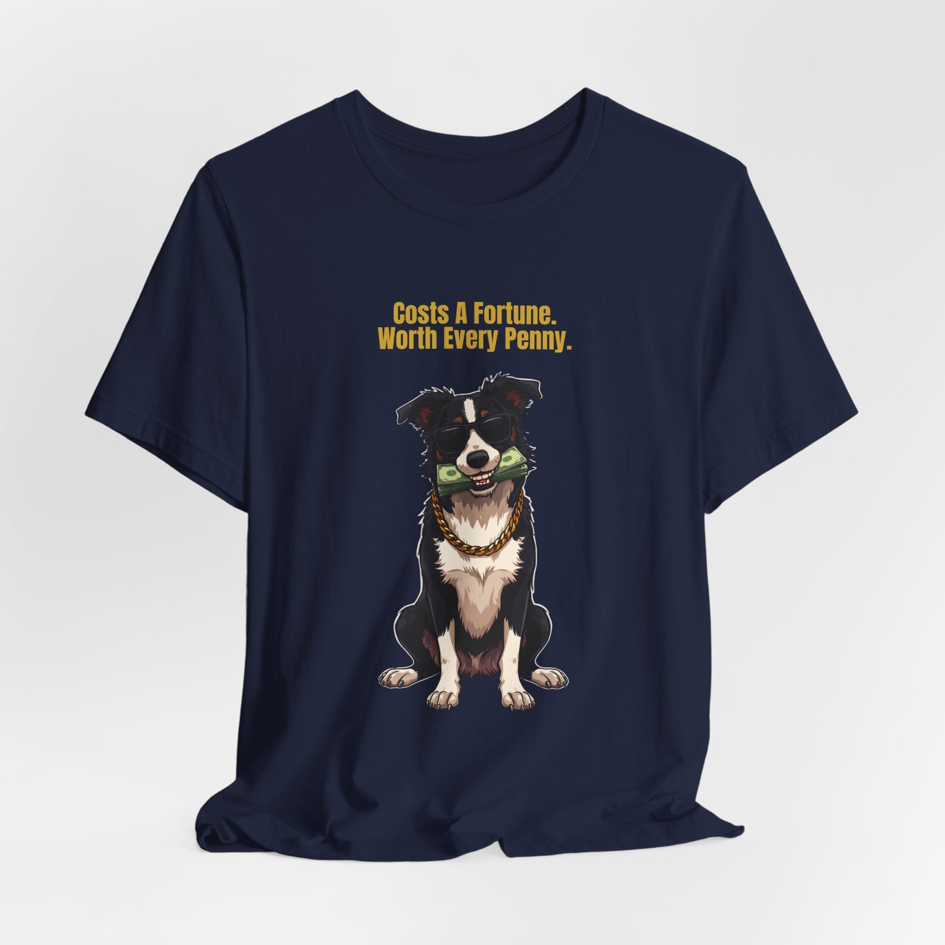 Costs A Fortune Border Collie t-shirt - styled with accessories