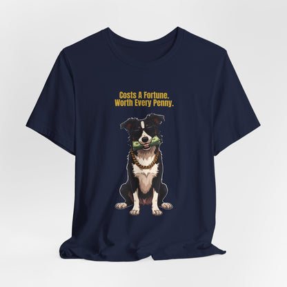 Costs A Fortune Border Collie t-shirt - styled with accessories